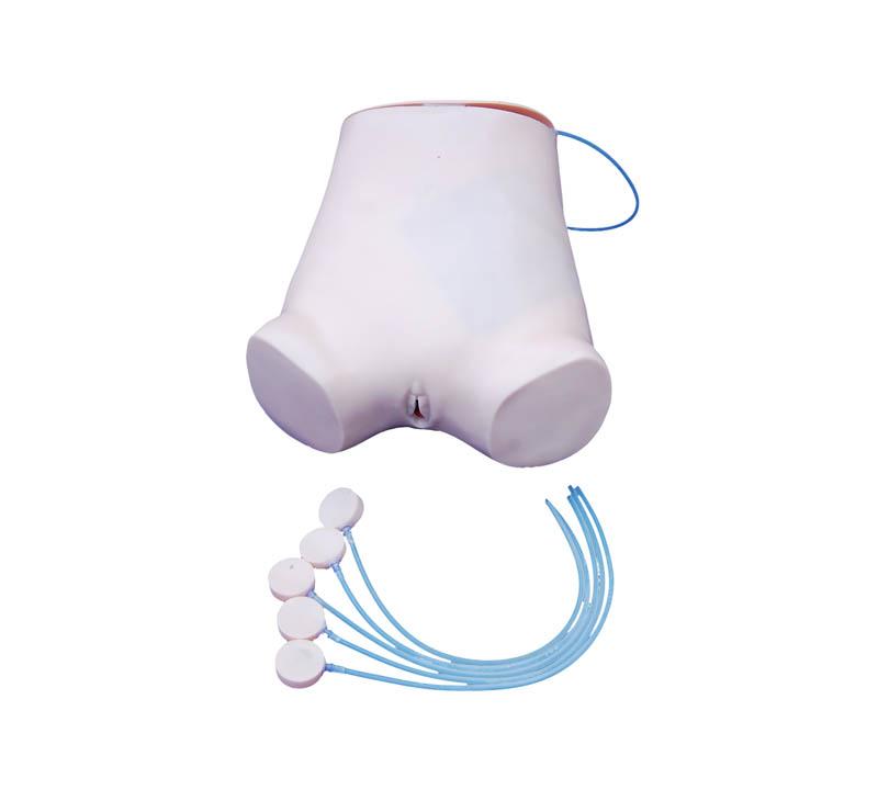 XC-464 Abdominal Puncture Model